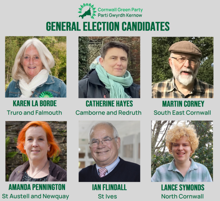 Candidates for the General Election - Cornwall